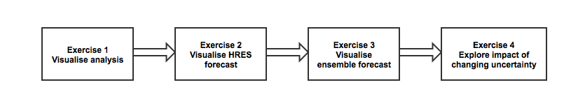 exercise flowchart